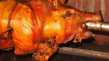 El cerdo asado al estilo cubano es un plato que se consume con mucha frecuencia en la isla. Por lo general, la costumbre es que se haga principalmente en Noche Buena. Esta es la época del año en la que más se consume&nbsp;puerco asado cuba