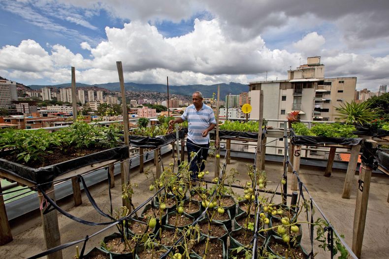 REP-GEN_VENEZUELA-CRISIS_HAMBRE-7.jpg