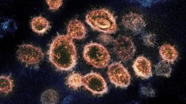 Nueva variante de coronavirus llega a EEUU