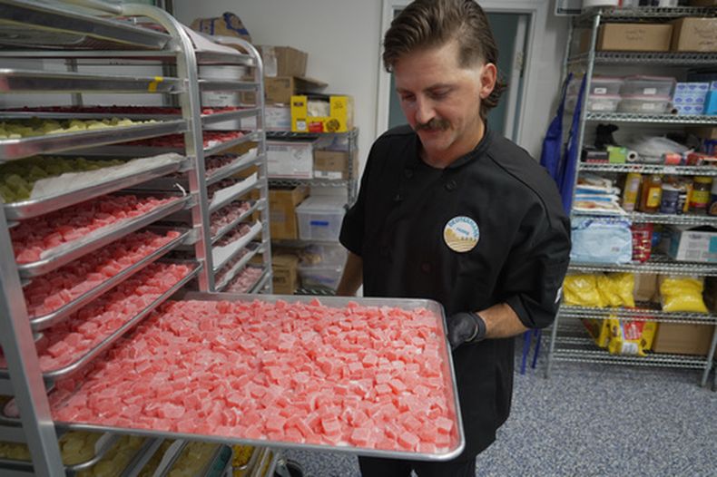 Nicholas Hohns muestra una charola de gomitas de CBD con sabor a fresa-limón en su cocina de Deutermann Farms, en Clayton, Carolina del Norte, el miércoles 23 de septiembre de 2026. (AP Foto/Allen G. Breed)