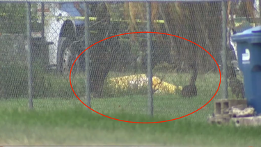 americateve | Screen Shot 2022-07-12 at 6.04.51 PM.png