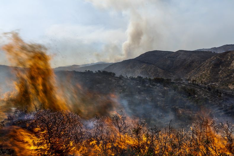 ARCHIVO - Las llamas consumen un incendio cerca de Altura, en el este de España, el viernes 19 de agosto de 2022. (AP Foto/Alberto Saiz, archivo)