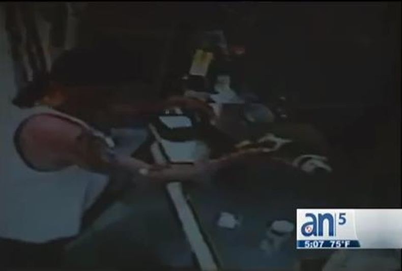 Un hombre trató de cambiar un cocodrilo por 12 cervezas en una mini tienda de Miami.