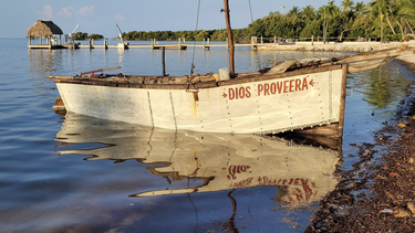 23 cubanos llegan en un velero a los cayos de florida