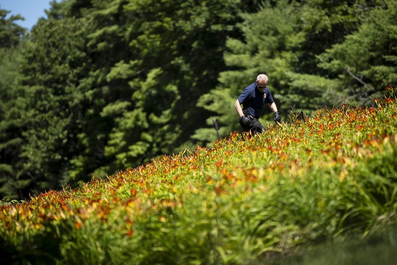 La policía busca a una niña que había sido reportada como desaparecida en Diamond Point, Nueva York, el 23 de julio del 2025. (Christopher Katsarov/The Canadian Press via AP)