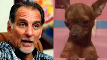 familia del espia rene gonzalez ofrece 20 mil pesos de recompensa por perro perdido