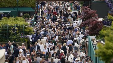 Bautista Agut se baja de Wimbledon por COVID