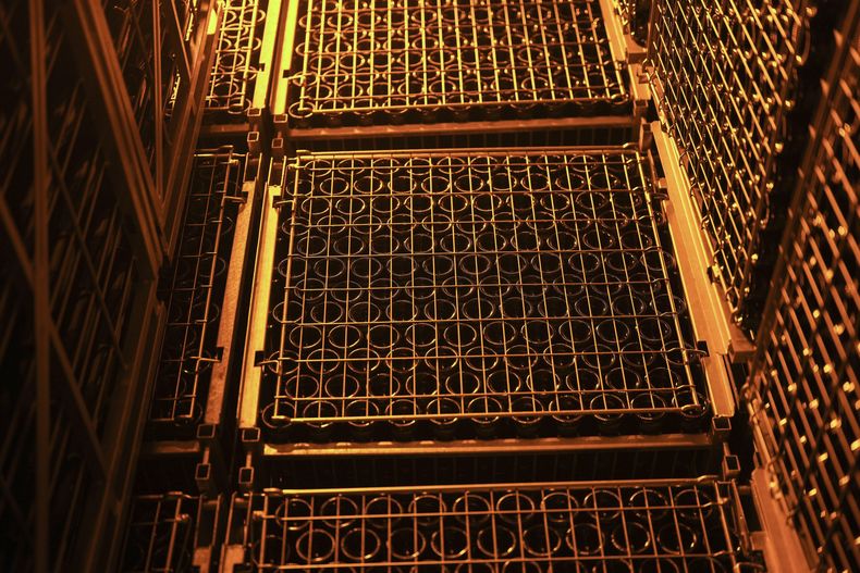 Botellas de champaña son preparadas para su exportación en la propiedad del viticultor David Levasseur en Cuchery, en el este de Francia, el lunes 17 de marzo de 2025. (AP Foto/Thibault Camus)