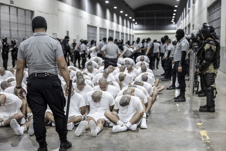 En esta fotografía proporcionada por la oficina de prensa de la presidencia de El Salvador, guardias penitenciarios trasladan a presuntos pandilleros venezolanos, deportados de Estados Unidos, al Centro de Confinamiento del Terrorismo (CECOT), en Tecoluca, El Salvador, el domingo 16 de marzo de 2025. (Oficina de prensa de la presidencia de El Salvador vía AP)