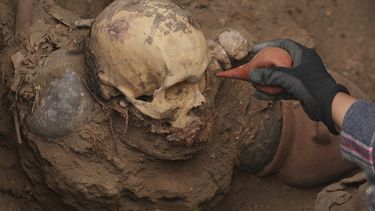 El arqueólogo José Aliaga trabaja en el sitio donde operarios descubrieron restos óseos que serían de la cultura preincaica Chancay mientras excavaban una línea de gas natural en el distrito de Puente Piedra, en las afueras de Lima, Perú, el jueves 31 de julio de 2025. (Foto AP/Guadalupe Pardo)