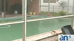 nino de dos anos a punto de morir ahogado en piscina