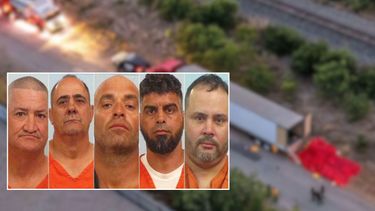 cinco cubanos arrestados en texas por robar y sacrificar 70 reses en esquema criminal millonario