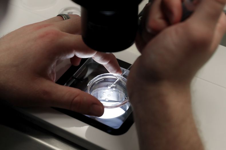 Personal de laboratorio prepara embriones en el Aspire Houston Fertility Institute de Houston, Texas, el 27 de febrero del 2024. (AP foto/Michael Wyke)