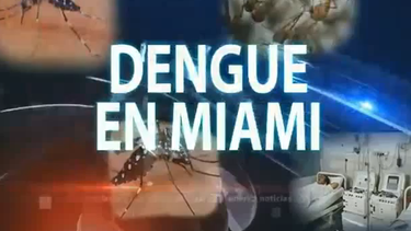 americateve | 