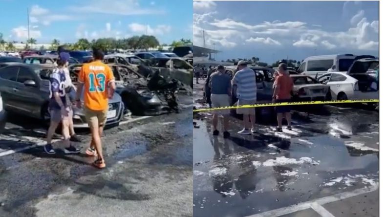 Incendio Dolphins.jpg