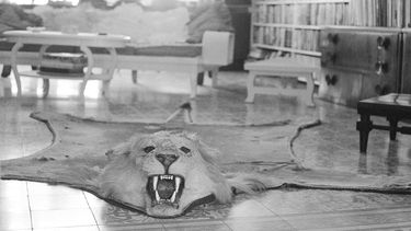 eeuu y cuba evaluan preservacion de objetos de hemingway