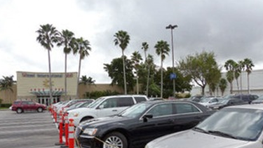 Desmantelan banda de tráfico de coca a EEUU desde Venezuela