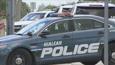 descarticulan banda criminal de hialeah
