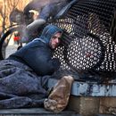 Joven vuelve con familia gracias a foto de la AP