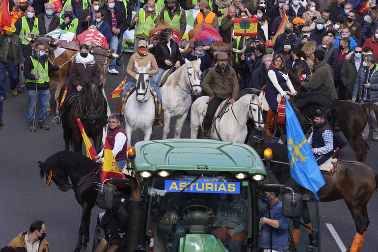 Agricultores, ganaderos protestan contra el gobierno español