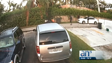 policia tras la pista del trio de ladrones de accion de gracias
