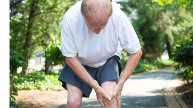el momento de la evolucion que puede explicar los comunes dolores de cadera, hombros y rodilla