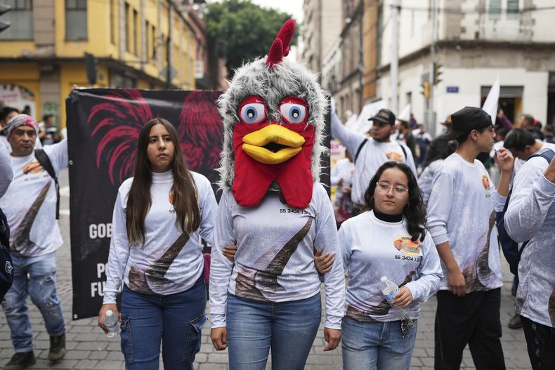 Una manifestante que porta la cabeza de un gallo participa en la protesta en contra de las leyes que prohíben espectáculos considerados violentos como la pelea de gallos y las corridas de toros en la Ciudad de México, el jueves 26 de Junio de 2025 (AP Foto/Eduardo Verdugo)