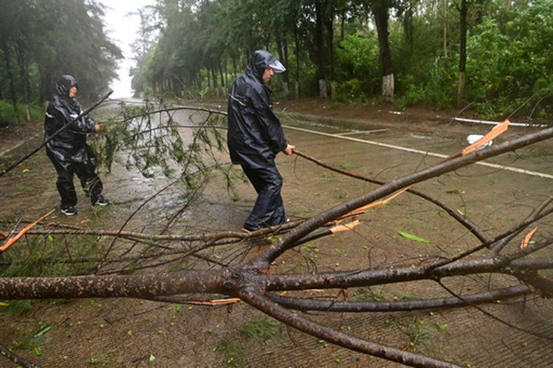 En esta imagen publicada por la agencia de noticias Xinhua, trabajadores retiran un árbol caído en una carretera en Jiangping town, Dongxing de Fangchenggang, en la región autónoma china de Guangxi, el sábado 4 de julio de 2026, después de que un sistema tormentoso afectara a la zona. (Lu Boan/Xinhua via AP)