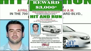 policia de fort lauderdale tras la pista de conductor que arrollo a peaton y se dio a la fuga