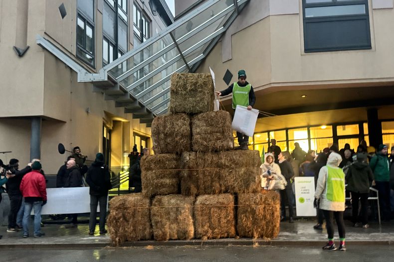 Pacas de paja apiladas fuera de un tribunal mientras el gigante petrolero francés TotalEnergies enfrenta una demanda presentada por el agricultor francés Hugues Falys y tres grupos ambientales por su responsabilidad en el cambio climático, el miércoles 19 de noviembre de 2025, en Tournai, Bélgica. (AP Foto/Sylvain Plazy)