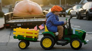 Miles, de seis años, pasa frente a una calabaza gigante que participará en el Concurso Mundial de Peso de Calabazas Safeway, el lunes 12 de octubre de 2026, en Half Moon Bay, California. (AP Foto/Jeff Chiu)