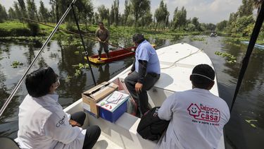 México descarta cambios en estrategia contra el coronavirus