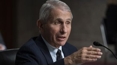 Fauci responde a Cruz por pedir que se le investigue