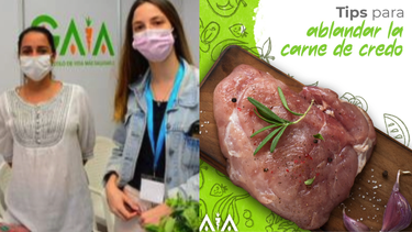 hija de mariela castro es duena de un mercado de alimentos