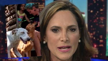 maria elvira condena al regimen por envenenar perros de animalista en cuba