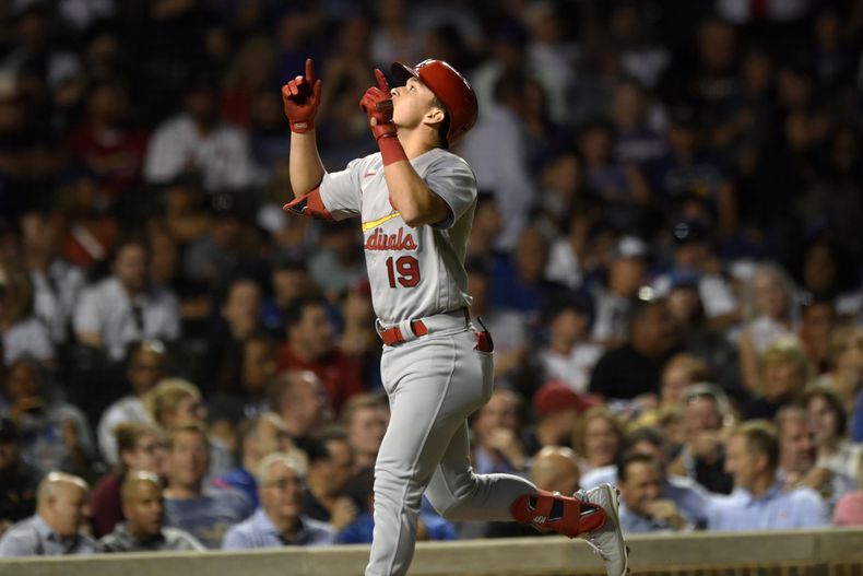 DEP-BEI CARDENALES-CACHORROS