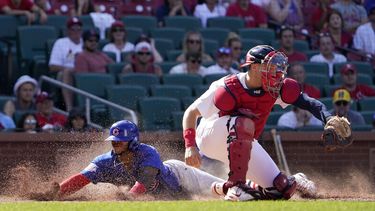 Cachorros superan déficit de cinco y ganan 6-5 a Cardenales