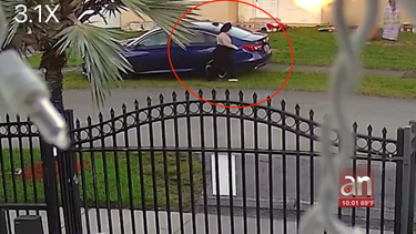 a plena luz del dia una mujer roba decoracion navidena de una familia cubana en westchester