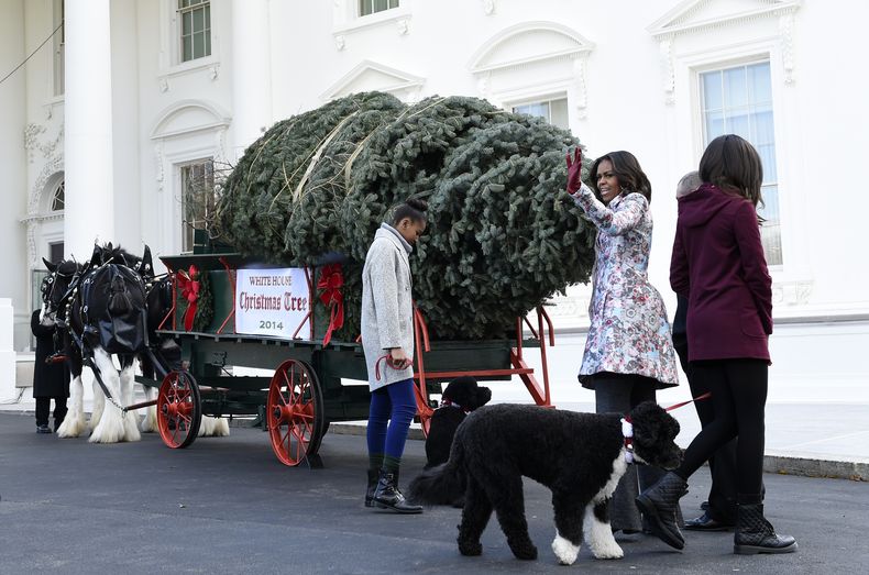 La primera dama Michelle Obama, 2da de la derecha y sus hijas Sasha, izquierda, y Malia reciben el &aacute;rbol de Navidad de la Casa Blanca en la residencia presidencial en Washington, viernes 28 de noviembre de 2014. El &aacute;rbol, un abeto del Colora