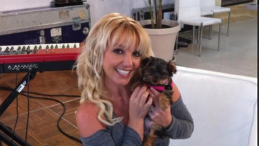 empleada de britney spears la acusa de agresion