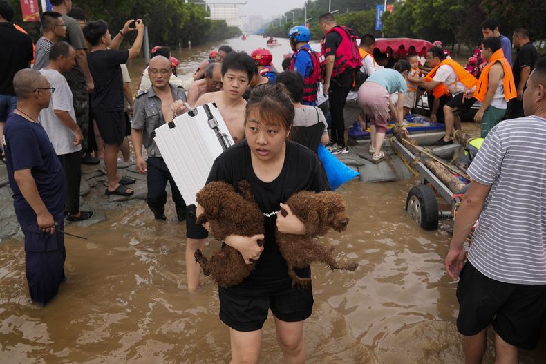 ARCHIVO - Una mujer carga a sus perros en una evacuación el miércoles 2 de agosto de 2023 debido a inundaciones en el municipio de Zhuozhou, provincia de Hebei, en el norte de China. (AP Foto/Andy Wong, archivo)