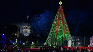 Trump enciende las luces del Árbol Nacional de Navidad