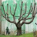 Personas miran un nuevo mural de Banksy en una pared en Londres, el lunes 18 de marzo de 2024. Un nuevo mural de Banksy en el vecindario de Finsbury Park atrajo multitudes a una calle de Londres el lunes, incluso antes de que el esquivo artista de graffiti confirmara que la obra era suya. (Foto AP/Alastair Grant)