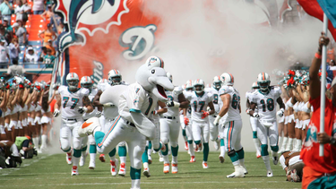 la nfl otorga a miami la sede del super bowl del 2020  el ultima vez el sur de la florida fue sede en el 2010