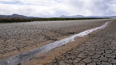 california pide a usuarios ahorrar agua debido a sequia
