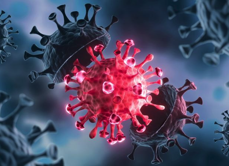 Screen Shot 2021-06-30 at 8.33.08 PM.png