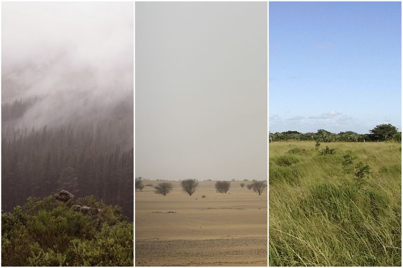Fotos de 2007, 2018 y 2012 que muestran, de izquierda a derecha, la cordillera Cederberg en Sudáfrica, el desierto de Tenere en Níger y la sabana en Sudáfrica. (Fotos de AP/Schalk van Zuydam, Jerome Delay, Matthew Craft)