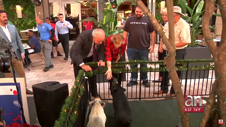 Screen Shot 2018-12-19 at 7.42.40 PM.png