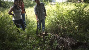 En medio de la crisis, venezolanos comen carne de caballo