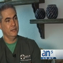 Desertan otros tres médicos cubanos en Brasil